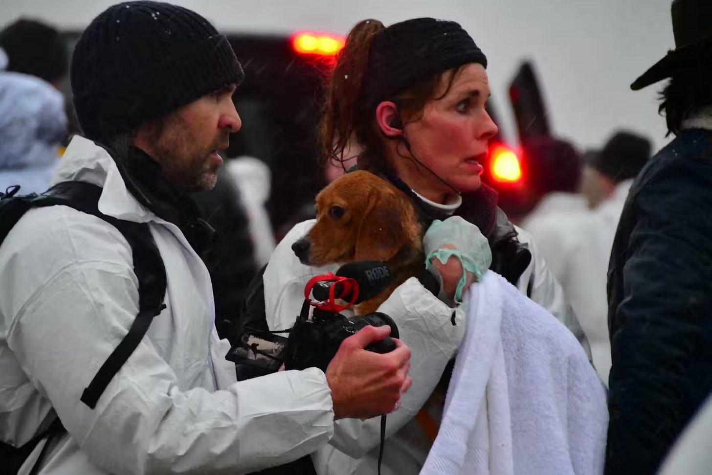 Activists hold a rescued beagle in the moments after removal from the facility.