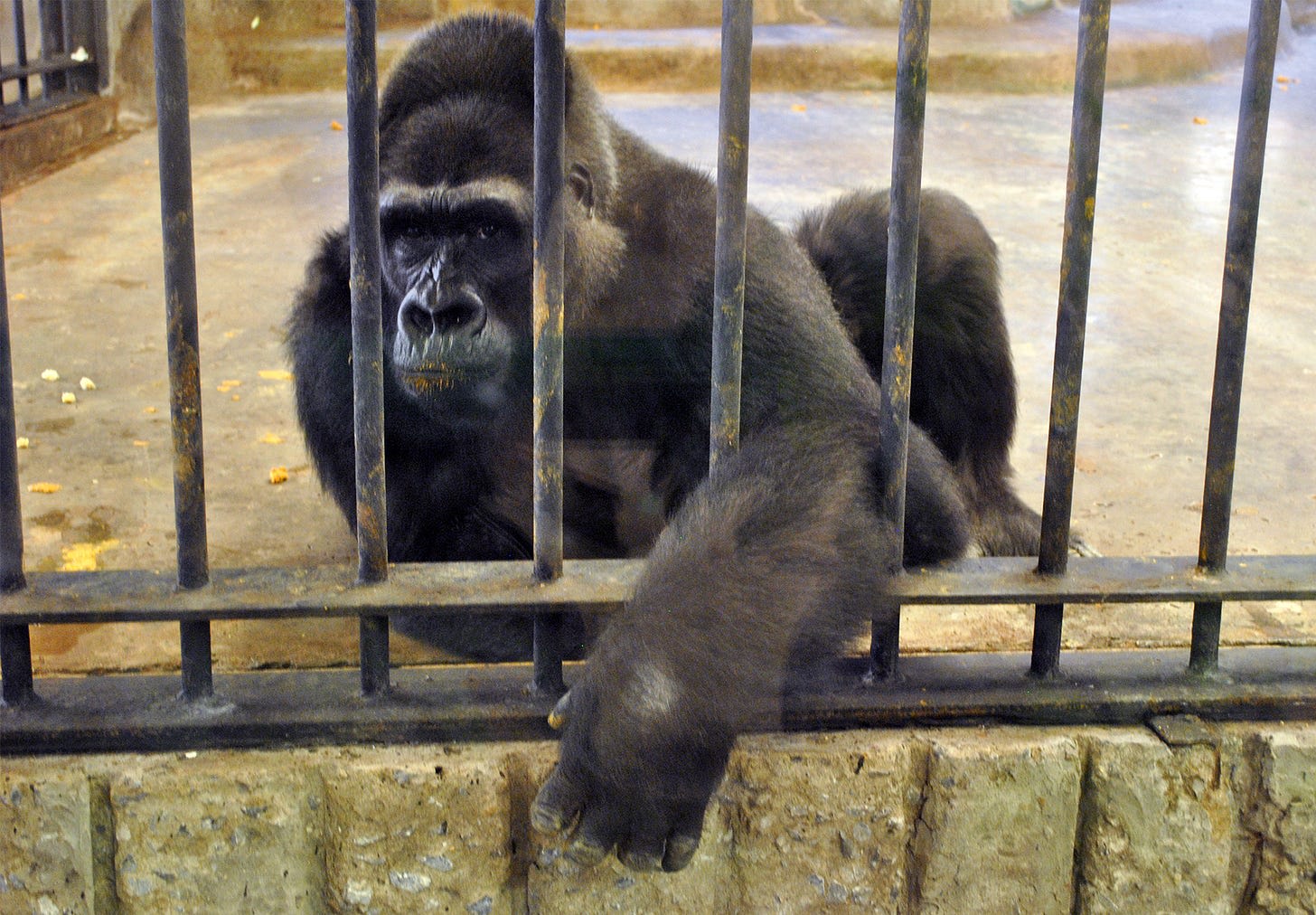 File:Bua Noi 27.jpg - Wikimedia Commons