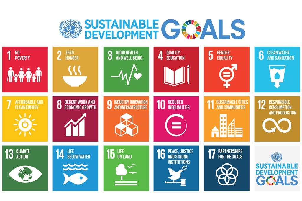 Image showing the symbols and names of the 17 sustainable development goals