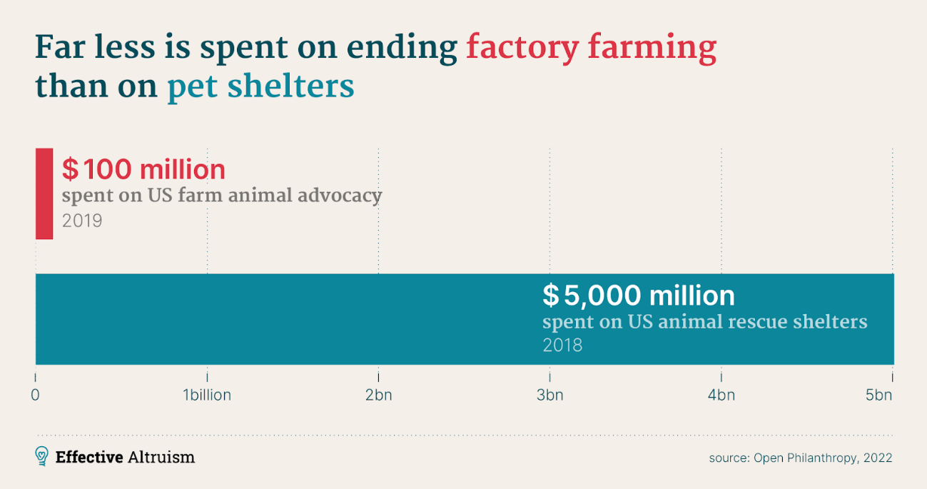 Animal welfare spending