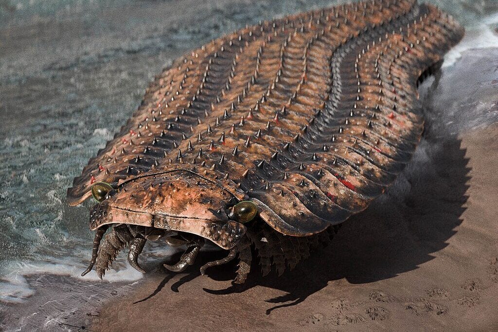 10 gigantic, deadly, prehistoric insects – from acid-spaying ants to  cat-sized scorpions – that are among the most terrifying bugs that have  ever lived | Discover Wildlife