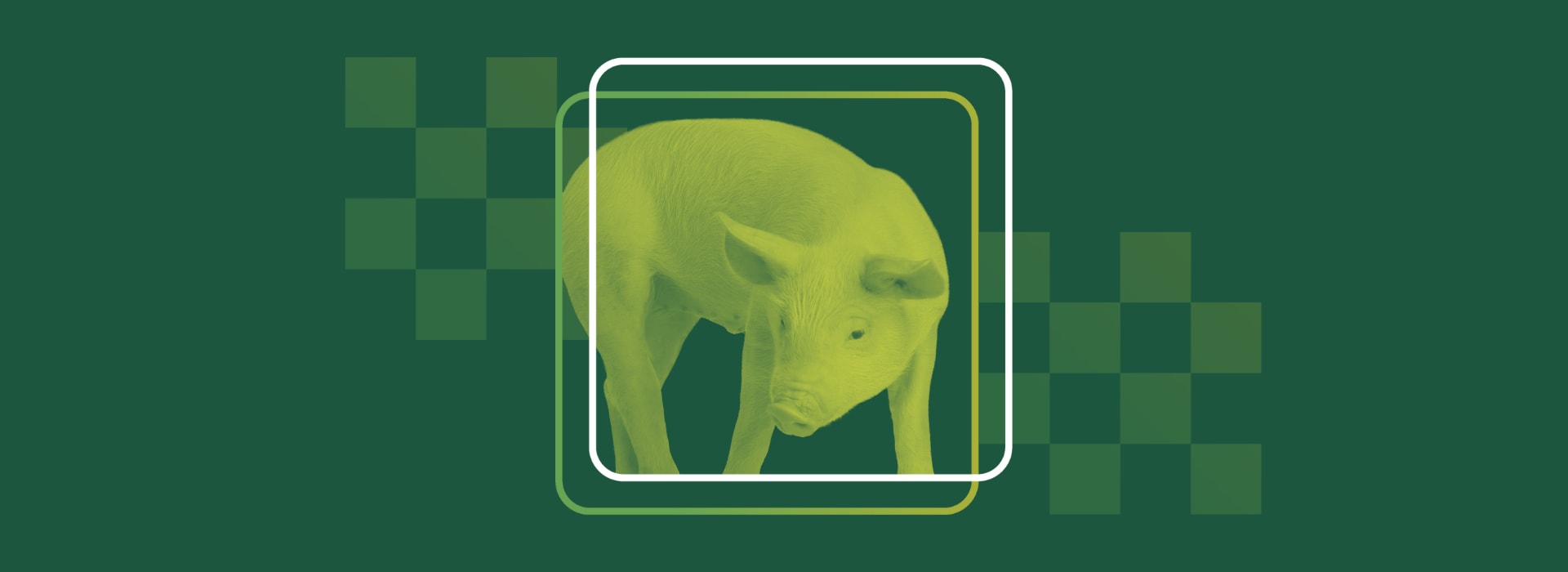 FAST Pig Banner