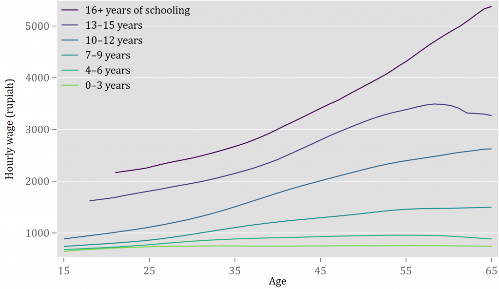 Age-differentiated wage scale divergence in Indonesia, 1995