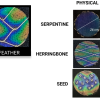 Embr  1 .png ha
