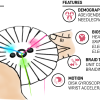 Braidflow dataset.png ha