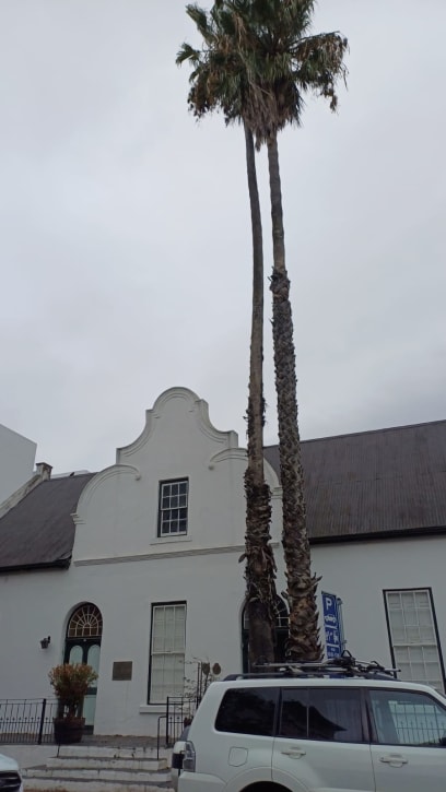 Kontrast: palma a "selské baroko"