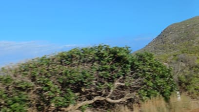 Kolem jsou kopce porostlé ekologickým systémem finbos