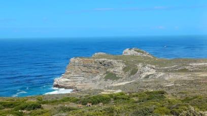 A toto je Cape of Good Hope...neustále žasnu, že se vůbec na taková místa můžu podívat!!!