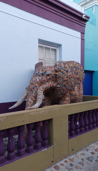 Čtvrt se jmenuje Boo- Kaap... No a centrum města v našem slova smyslu nějak Cape Town vlastně nemá, stavby jsou moderní včetně pár výškových ...Parlament jim tady jakýsi občan vypálil něčím jako Molotovův koktejl a ještě to nemají úplně opraven é, podle mého názoru jsou historická města Evropy krásnější, ale přesto na tom Kapském městě je!?