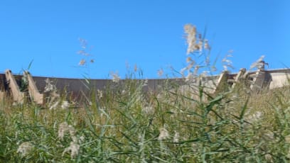 A když se upouští přehrada, tak holt brodíme