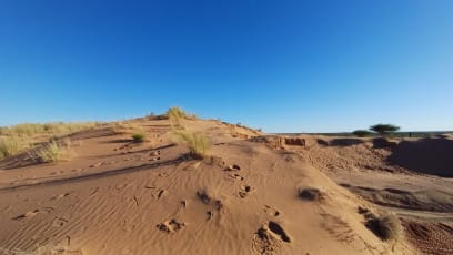 Ještě jsme se zastavili vpodvečer ve slavné poušti Kalahari a zkoumali rudé duny