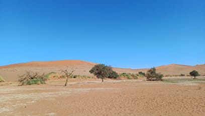 Sossus vlei