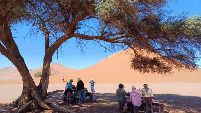 Duna č.40 s možností piknik ve stínu stromu