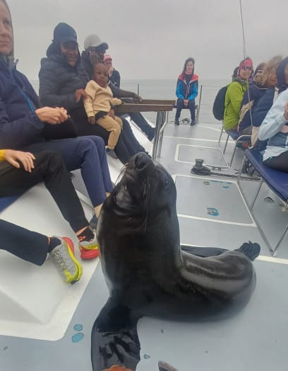 A ani ne za 5 minut k nám přes záď přišla návštěva