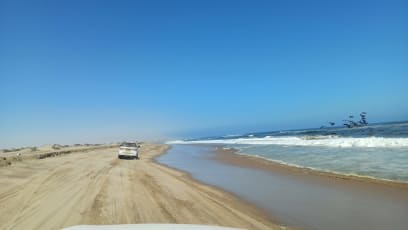 Celkem to bylo cca 150 km ve velmi zvláštní krajině...šancích se jí říká proto, že je vtěsnána mezi moře (oceán) a moře neboli vlny písku (postupně přerůstající v duny)...je tam i velká laguna, kdysi sladkovodní, dnes na jednom místě se už slaná a sladká voda spojily...ta krajina nás všechny fascinovala