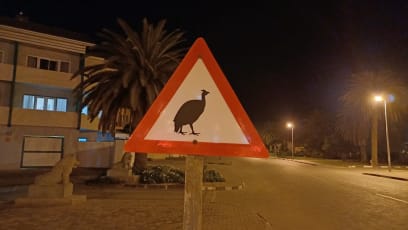 Pobíhá tu všude spousta perliček, tak tu mají tuhle značku😃