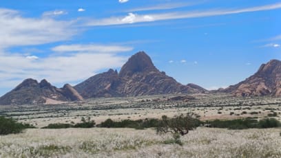 SPITZKOPPE!!! NÁDHERA!!! MEGALITICKÉ HORY...posuďte sami ...navíc se štěstím, opět nám kvete poušť