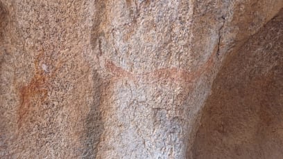 Hadi =pozor nebezpečí!