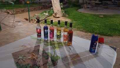 Nádherná zahrada, teplý večer pod hvězdami, velmi milá obsluha, krásně jsme si povídali a jako vždycky se pořádně zasmáli...dobrá skupina cestovatelů! K jídlu byla prkénka plná dobrot: místní šunka, sýry, výborné nakládané okurky, červená řepa a mrkvička (úplně jiné nálevy než u nás, velmi chutné!) A 3x gin, rum, naba (typ grapa) a brandy...rozhodně nic z toho bychom netipivali podle vzhledu, barvy či chuti na to, co to mělo být...nejvíc chutnala naba