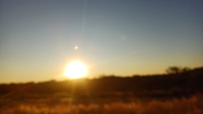 V 7:00 ráno už jsme na cestě...kdo chce do buše, nemůže vyspávat