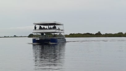 Nádherná cesta na lodi se spoustou zvířat a ptáků