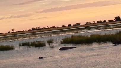 Poté následovala zase spousta různých ptáků a v ranním tichu jejich cvrlikot a někdy i hodně ostré skřeky... načež následovalo koupání hrochů