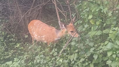 Krásná krajina Zimbabwe