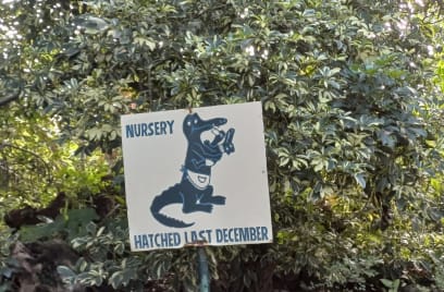 Dnes jsme byli navštívit krokodýli nilské! Viděli jsme je od 4mesíčních (v "jeslích") přes dvouleté a čtyřleté až po 55leté...můžou se dožít až 120let...jsou absolutně neochočitelní a jsou to kanibalové, proto jim berou novorozence a pečují o ně v "jeslích"... dali nám do ruky ta miminka a oni jsou tak příjemní na dotek!