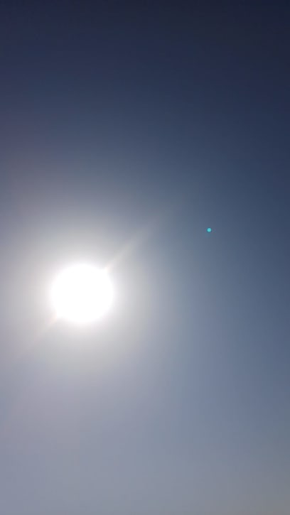 Zoncna neboli Oscar rumpluje ( pro nebrňáky: slunce pálí!)