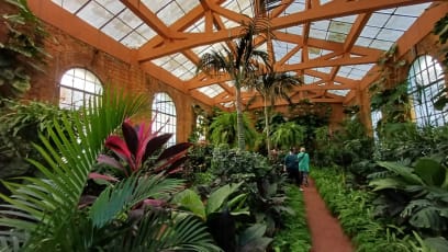 Ještě jsem dnes zapomněla moc pěkný královský skleník