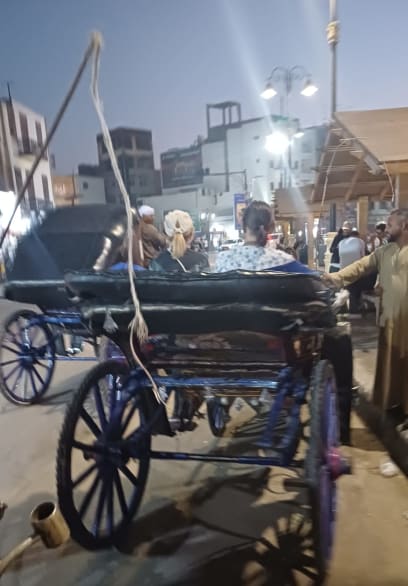 My jsme si pak ještě najali drožky a pod vedením Saida hodinu projížděli město Luxor - od luxusních čtvrtí, přes obchodní třídy, po chudinské části a obrovské tržiště...přitom jsme pozorovali večerní život...moc zajímavé