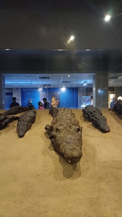 Ještě jsme včera večer navštívili muzeum krokodýlů, tedy jejich mumie...krokodýlí byl y pro Egypťany kolem Nilu posvátní...dnes už prý je asuánská přehrada zadržela a sem se nedostanou....mnooo....nic hezkého jsme na těch mumiích neshledali...I když prostor kolem je upraven pěkně