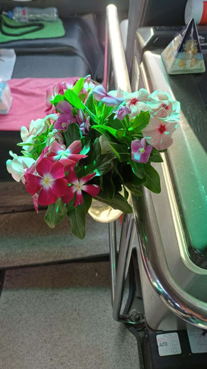 Živá kytička v busíku...roztomilé...