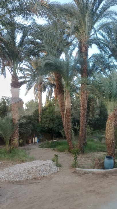 Příjezdová cesta k lodi