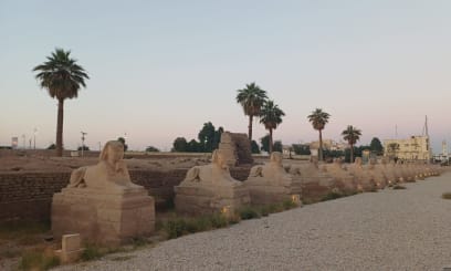 Alej sfing vedoucí z Karnaku až do chrámu v Luxoru