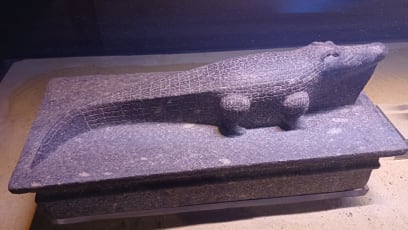 Užití sošek krokodýla je ovšem pěkné