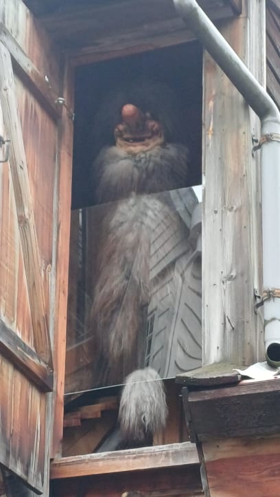 A toto je Troll...jsou považováni za škodící skřítky, na rozdíl od Trpaslíků, Alfů...