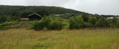 Opět domky s travnatými střechami