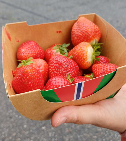 Svačinka...uuuuplně skvělá chuť z místního pole...v takovém dřevěném budníku jsou košíčky s jahodami, vhodíš norské koruny nebo 6 EUR ...a mňaaaam