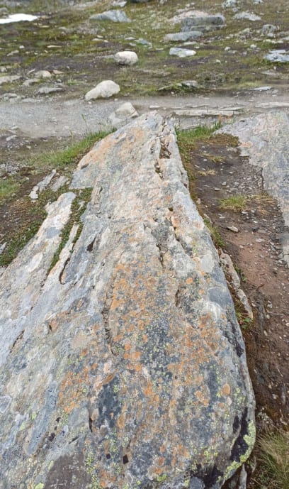 Kameny jsou tady úžasně barevné....a ehm...naštěstí protiskluzové 🙃