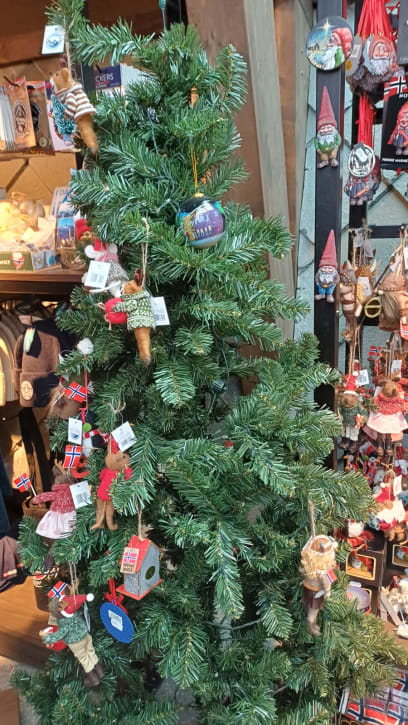 Jsme na vrcholku Dalsnibba (cca 1500 m)...a počasí odpovídá ročnímu období jako na obrázku