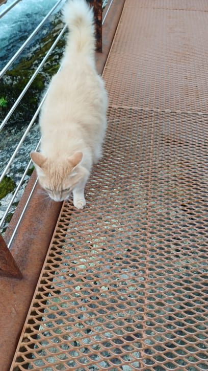 V poslední části vodopádního treku jsem měla průvodce