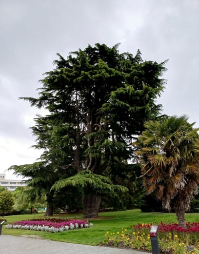 Aglův park, který je vlastně i veřejnosti volně přístupnou botanickou zahradou
