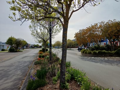 Te Anau má 2000 obyvatel a přes 3000 ubytovacích kapacit, protože je to východisko pro národní park Milford Sound, kam míříme...podle Lonely Planet je to je to jedno z míst, které "musíš vidět," ...