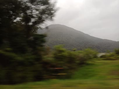 Deštný prales musí i trochu deštit, žeeee