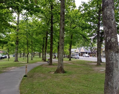 V Hanmer Springs kromě možnosti se projít po hlavní parkové cestě nic není