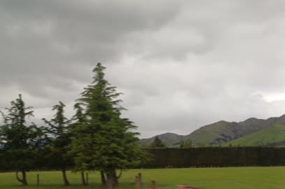 Zajímavé je, že větrolamy jsou tu vysazovány z jehličnanů a pečlivě stříhané