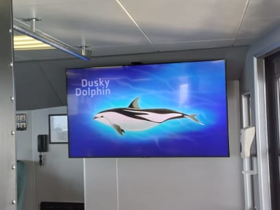 Kia ora! (Dobrý den!) Brzké vstávání a v 8h jsme už na moři na katamaránu, hrají si kolem delfíni a provázejí na velcí albatrosi...živě se filmovat nedá, tak aspoň fotka