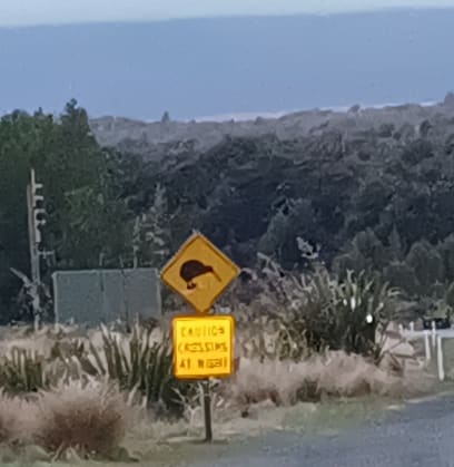 Dopravní značka...pozor! Mohli by přecházet v noci kiwi!