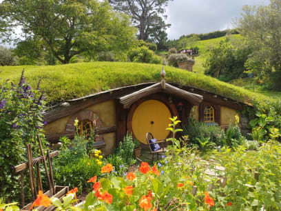 Tak Hobitín mě dostal!! Bylo to tak: natáčel se tam Pán prstenů a Hobbit, a pak to filmaři všechno uklidili, načež tam začali přijíždět milovníci těch filmů a flákali se po loukách ...a tak pan režisér Jackson a místní farmář Russel, od kterého měl Jackson pronajaté louky, nechali celý KRAJ (Shire) vybudovat přesně podle filmu znovu...je to neuvěřitelně detailní...celé je to absurdně roztomilé...a přes spoustu dýchtících milovníků Pána prstenů je to dobře zorganizované, takže se tam potuluje moc příjemně...